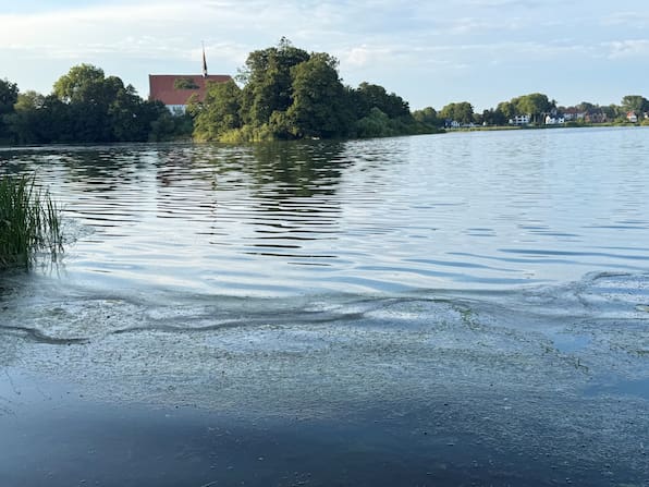 Rein ins Wasser: Wo Sie in Mittelholstein bedenkenlos schwimmen können